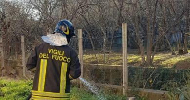 vigili del fuoco il corriere della provincia ciociaria frosinone