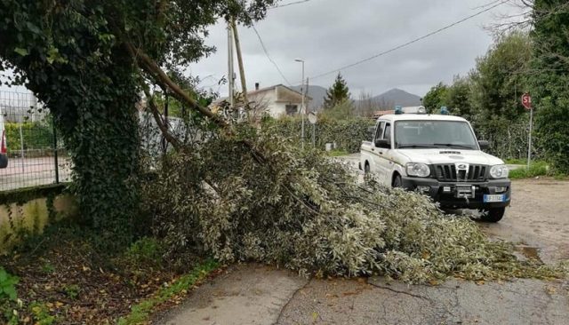 protezione civile ferentino ramo il corriere della provincia