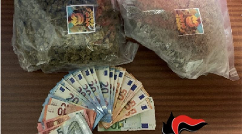 droga carabinieri frosinone ciociaria arresto