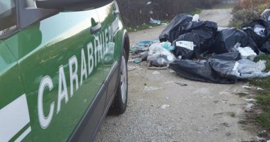 rifiuti abbandonati carabinieri forestali il corriere della provincia