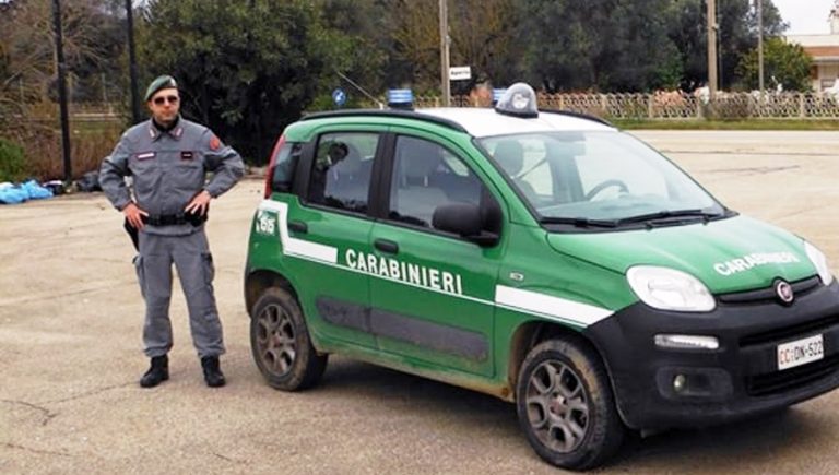 carabinieri forestali forestale