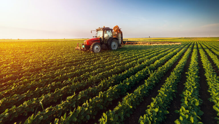 Agricoltura Lazio, bando da 12 milioni di euro per le aziende agricole