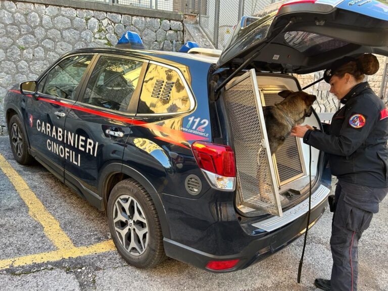Frosinone – Arrestato un 69enne per illecita detenzione e vendita di armi comuni da sparo