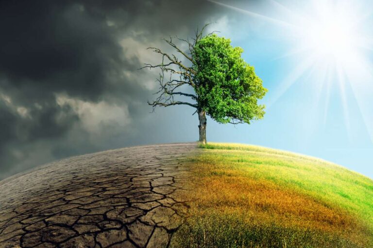 Crisi climatica, Confeuro: “Effetto dei cambiamenti in atto? Grandi rischi anche per tutta l’agricoltura” 