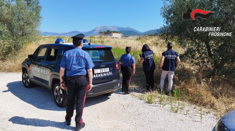 Controlli alle aziende della provincia di Frosinone: multe per oltre 40 mila euro