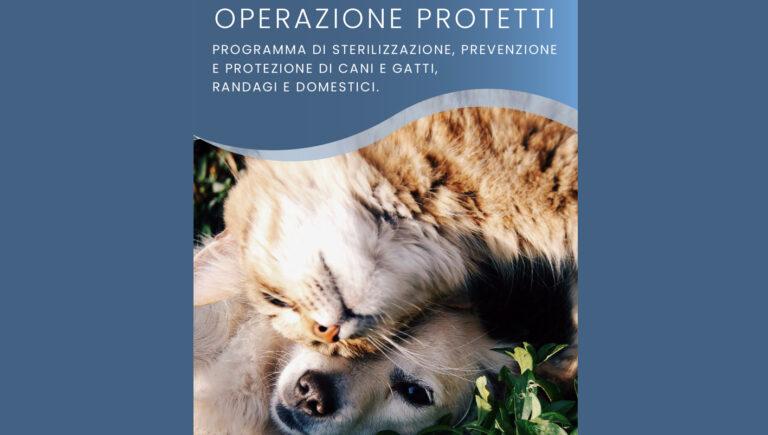 Paliano, al via la campagna “Operazione Protetti” per la sterilizzazione gratuita di cani e gatti